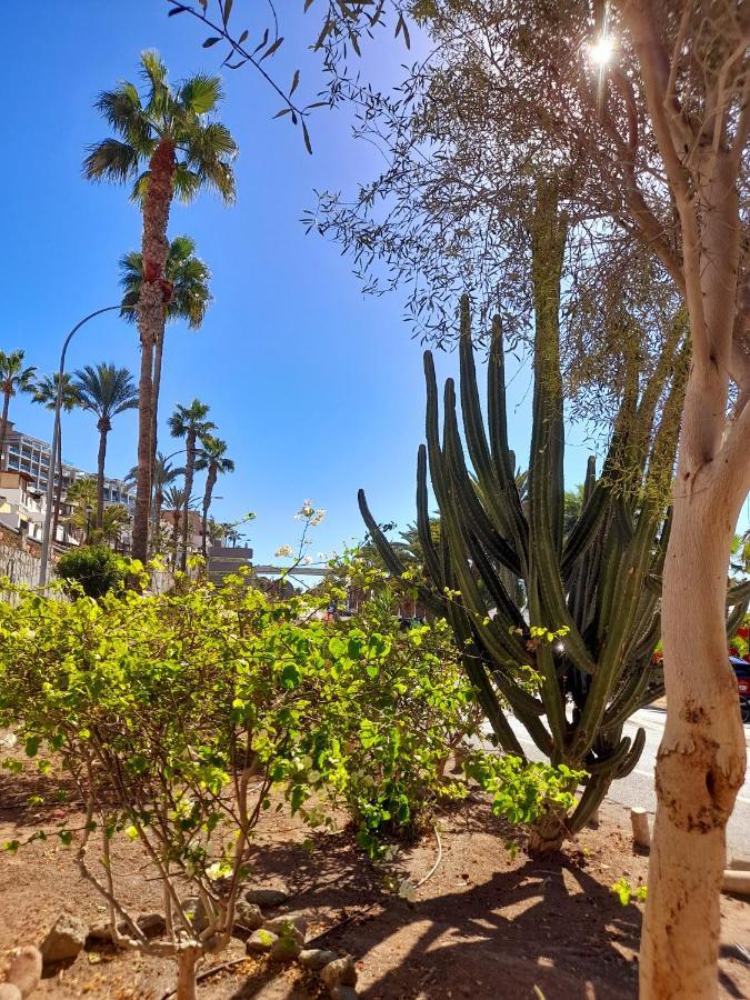 Апартаменти Vista Bella - Planta Baja Al Lado De La Piscina - Ground Floor By The Pool Плайя-дель-Кура Екстер'єр фото